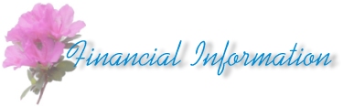 Financial Information Title Pic